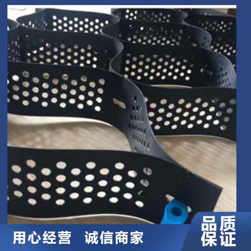 蜂巢格室 玻璃纤维土工格栅欢迎来厂考察