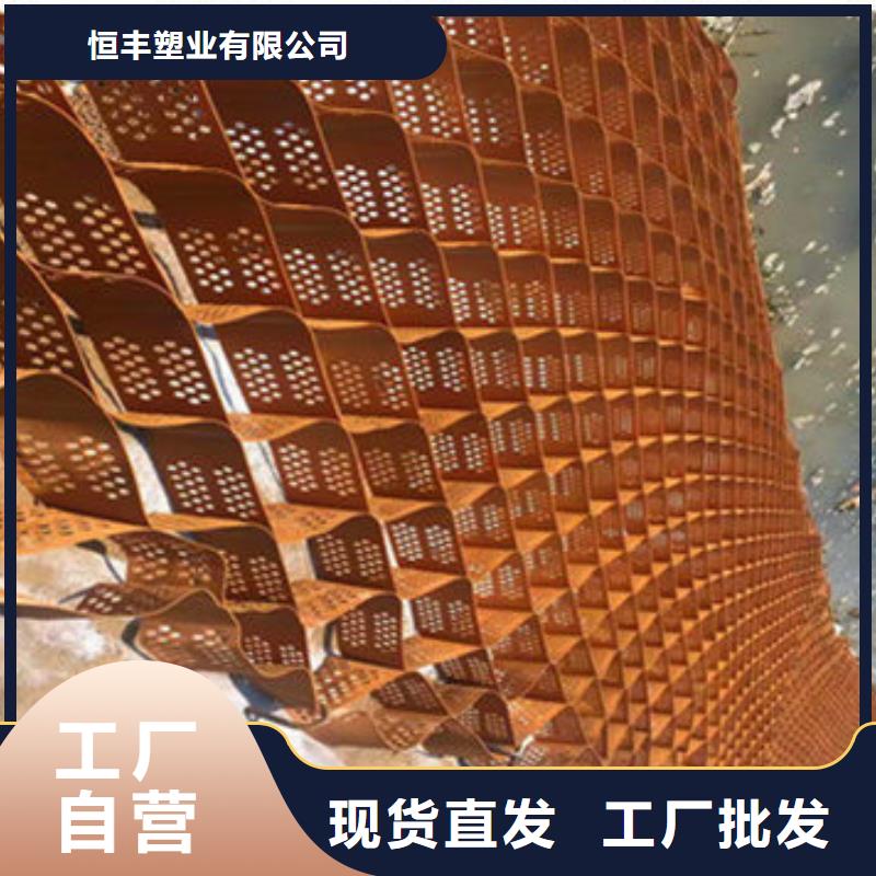 阜平蜂巢格室来厂考察，来厂考察