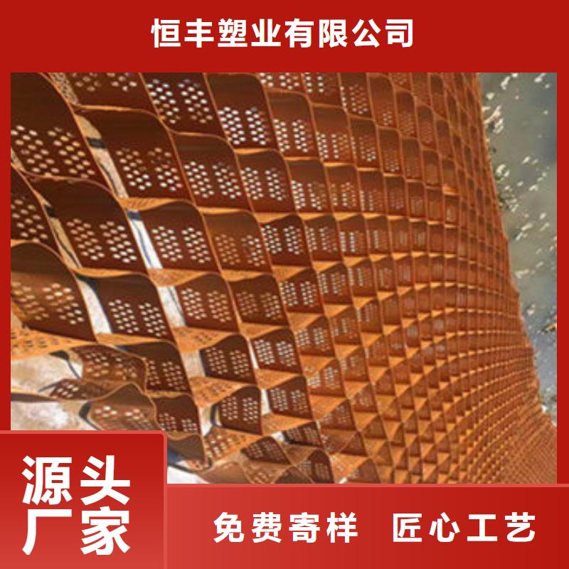 蜂巢格室【钢塑土工格栅】专业厂家