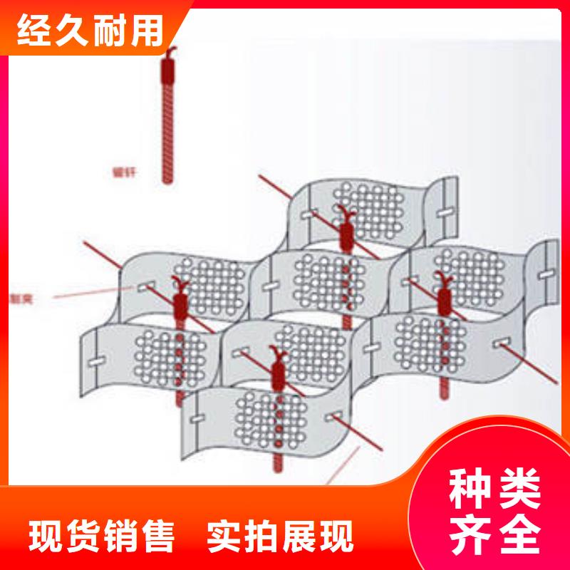 蜂巢格室土工布专业生产团队