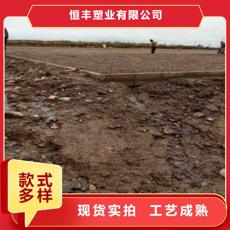 蜂巢格室护坡价格品质商家