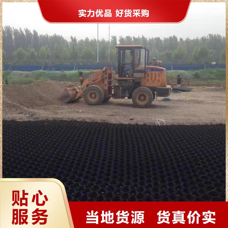 蜂巢格室 生态带严选材质