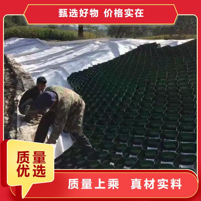 蜂巢格室塑料土工格栅供货及时