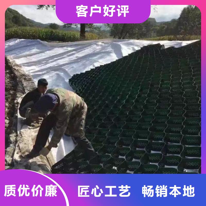 蜂巢格室蜂巢土工格室真正让利给买家