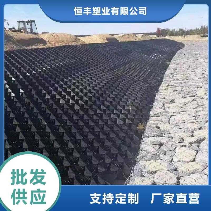 蜂巢格室-土工格室敢与同行比价格