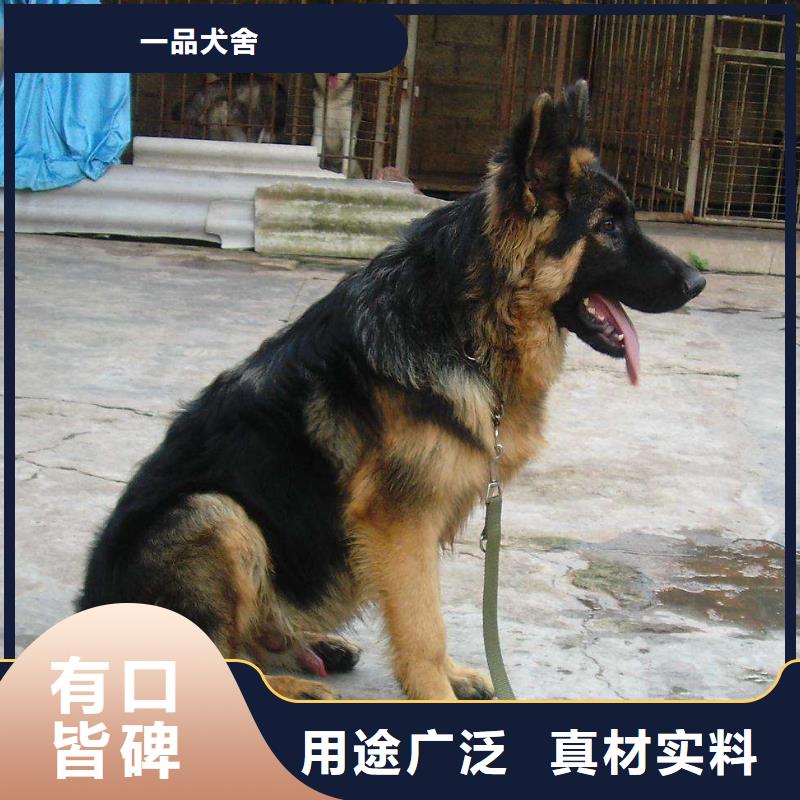 德国牧羊犬罗威纳犬值得买