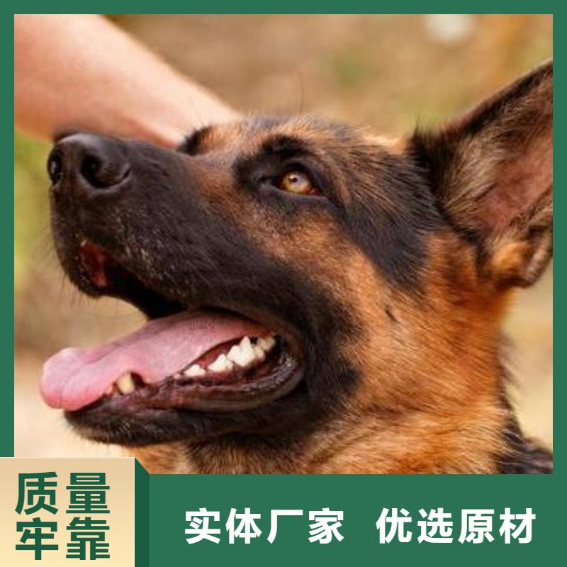 德国牧羊犬罗威纳犬值得买