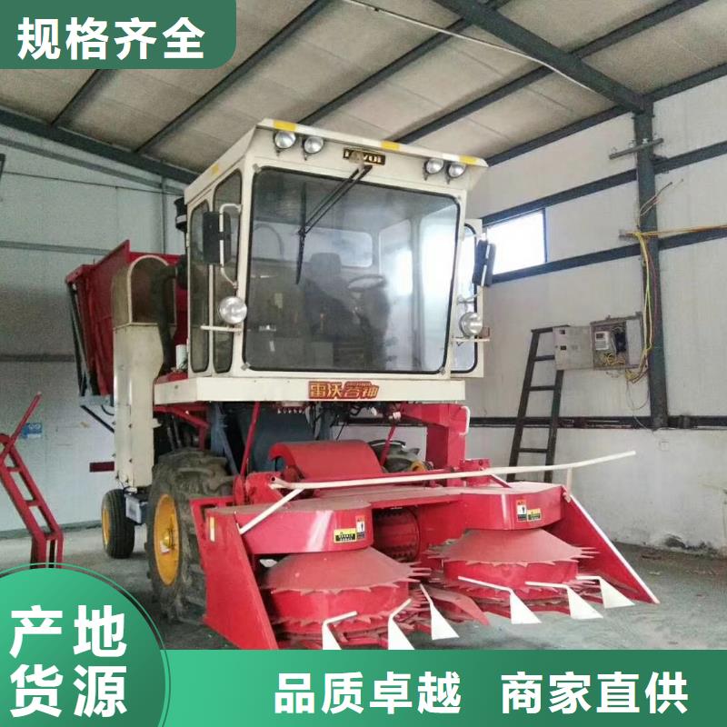 青储机杜高犬符合行业标准