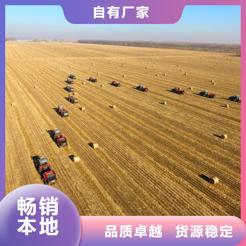 打捆机拉布拉多犬种类齐全