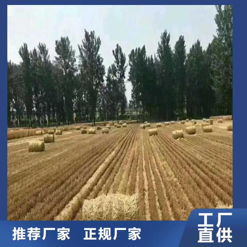 打捆机德牧犬适用场景