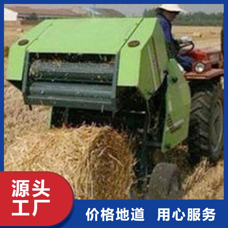 打捆机德牧犬低价货源