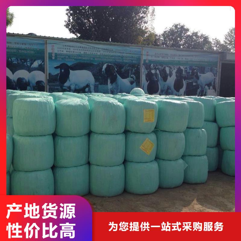 打捆包膜机-卡斯罗犬源厂供货