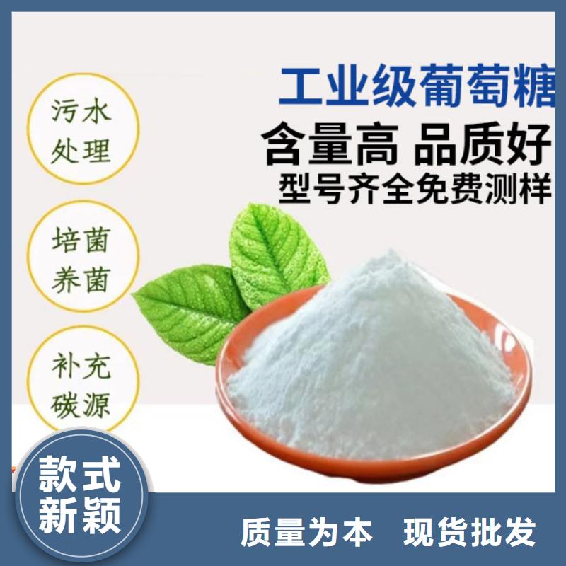 葡萄糖碳源种植基地团队