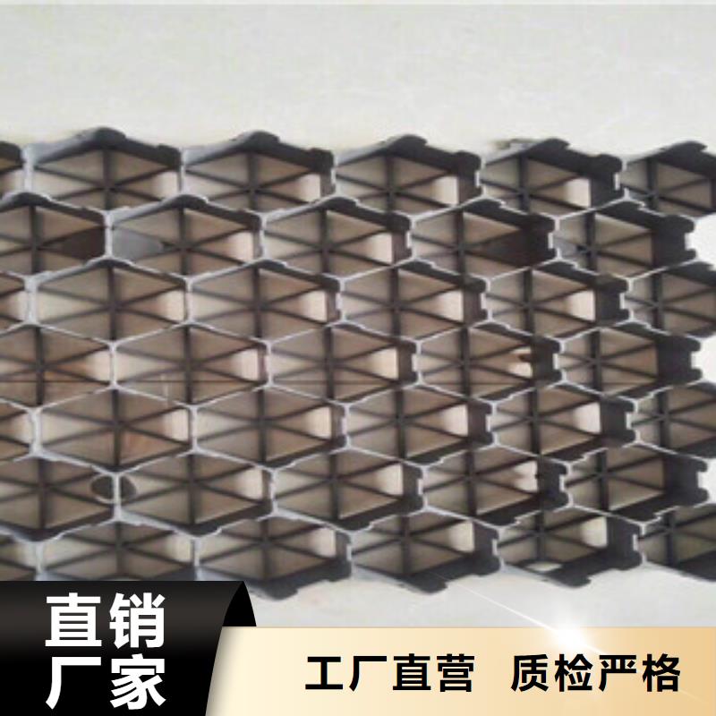 【环保植草格,植草格厂家一站式采购方便省心】