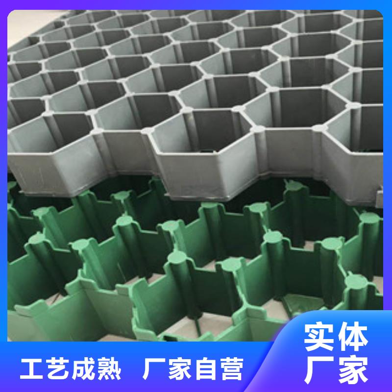 【环保植草格,植草格厂家一站式采购方便省心】