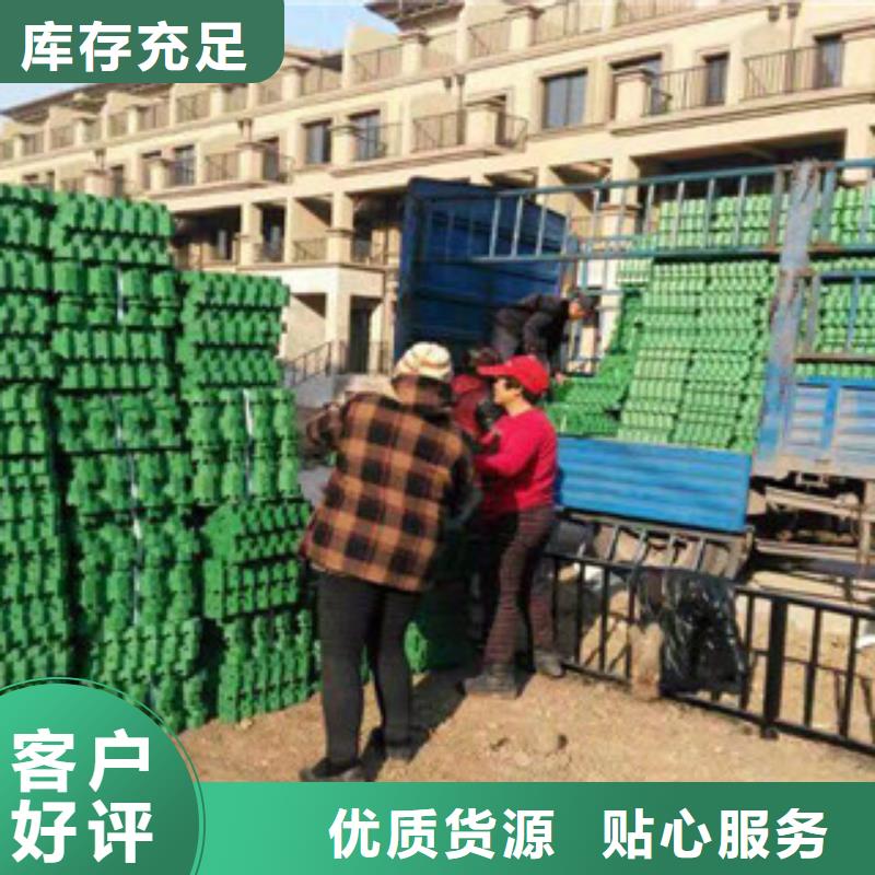 环保植草格,蓄排水板厂家源头把关放心选购