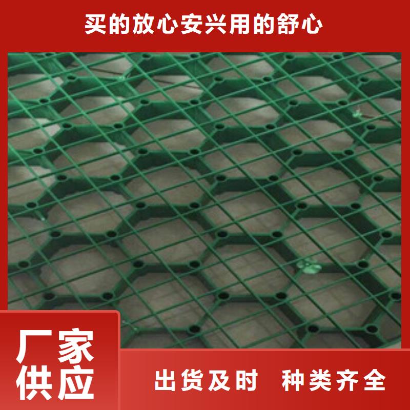环保植草格排水板厂家定金锁价