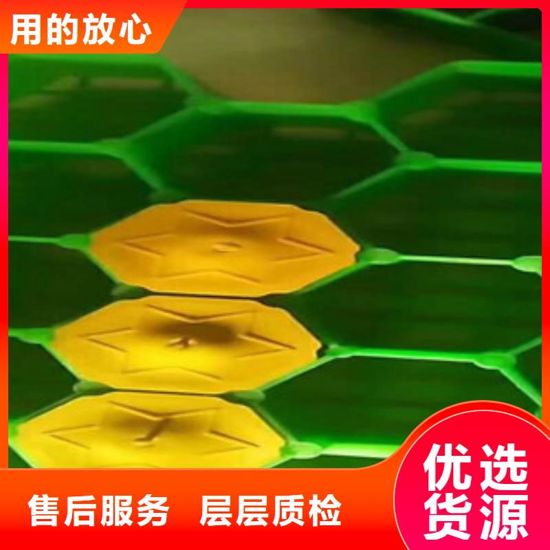 环保植草格排水板厂家好货直销