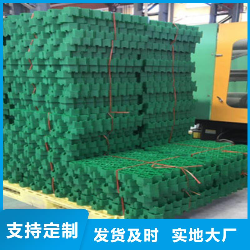 环保植草格,【生态袋厂家】真材实料