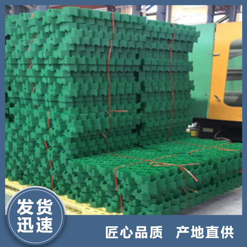 环保植草格生态袋厂家厂家现货供应