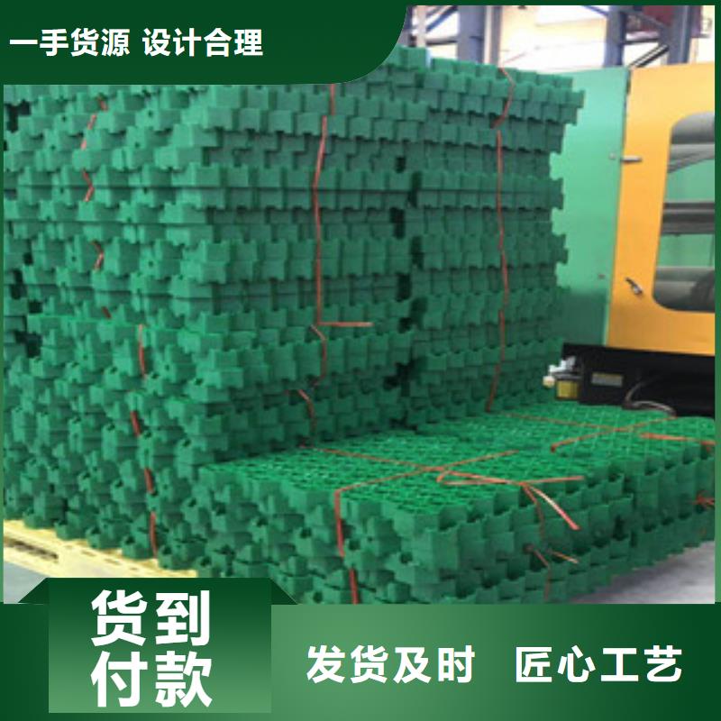 环保植草格-膨润土防水毯厂家放心选购