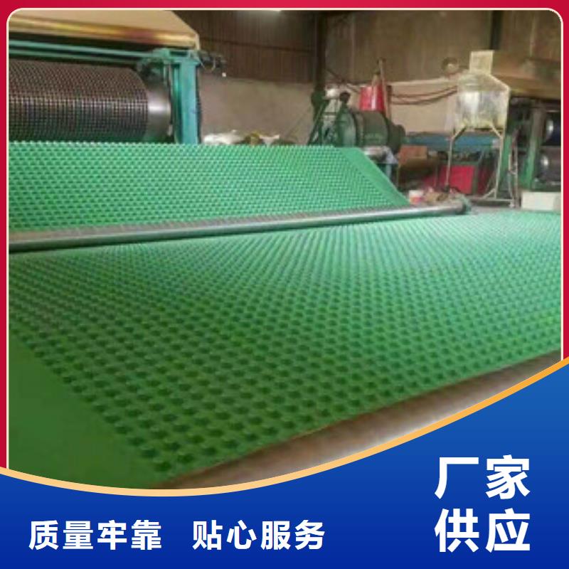 塑料排水板无纺布厂家免费寄样