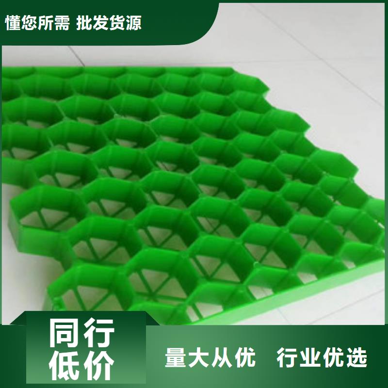 植草格膨润土防水毯厂家自主研发