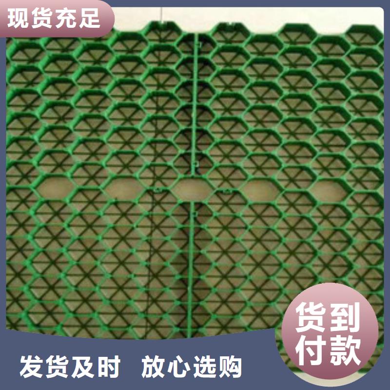 植草格膨润土防水毯厂家快速生产