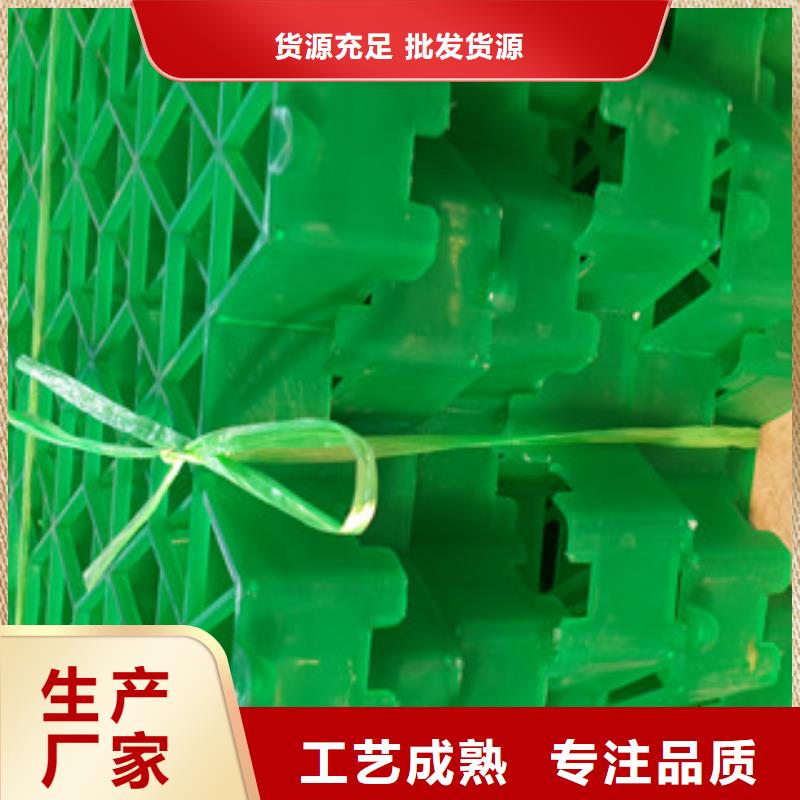 植草格膨润土防水毯厂家快速生产