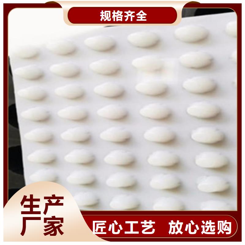 排水板生态袋厂家真材实料诚信经营