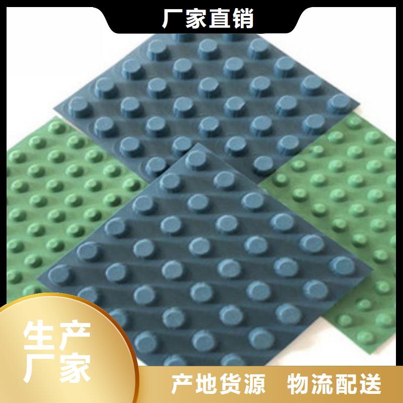 排水板-排水板厂家源厂供货