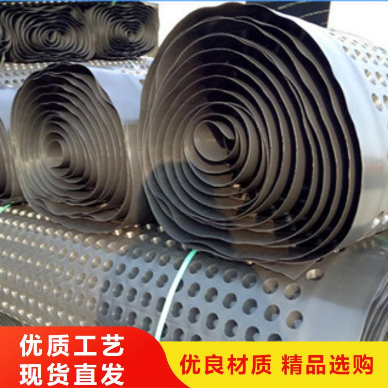 排水板蓄排水板厂家源头厂家