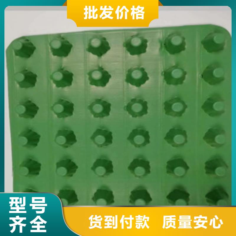 排水板-生态袋厂家品质做服务