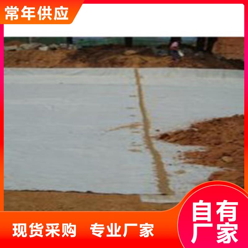 防水毯虹吸排水板厂家一周内发货