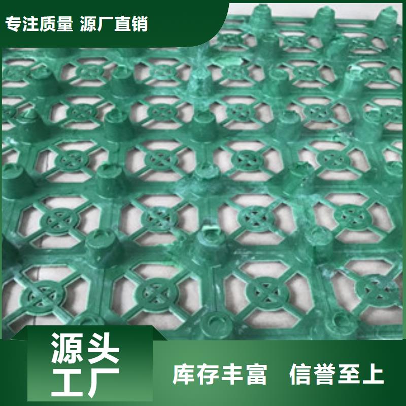 蓄排水板_植草格厂家供应采购