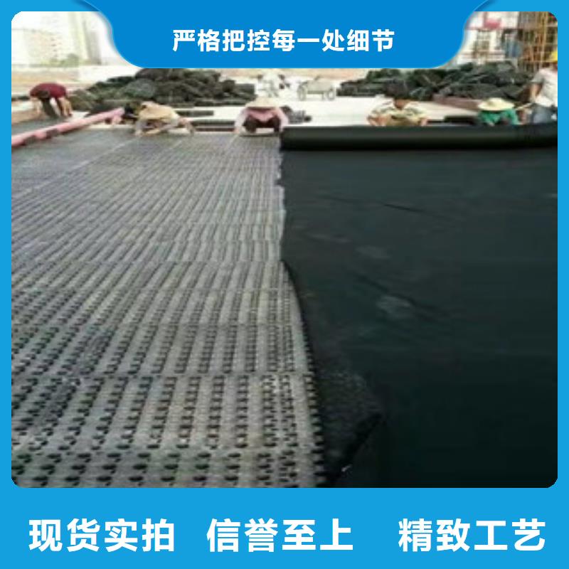 蓄排水板,膨润土防水毯厂家品种全