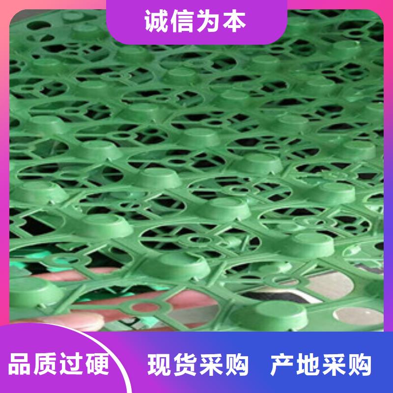 蓄排水板,膨润土防水毯厂家一致好评产品