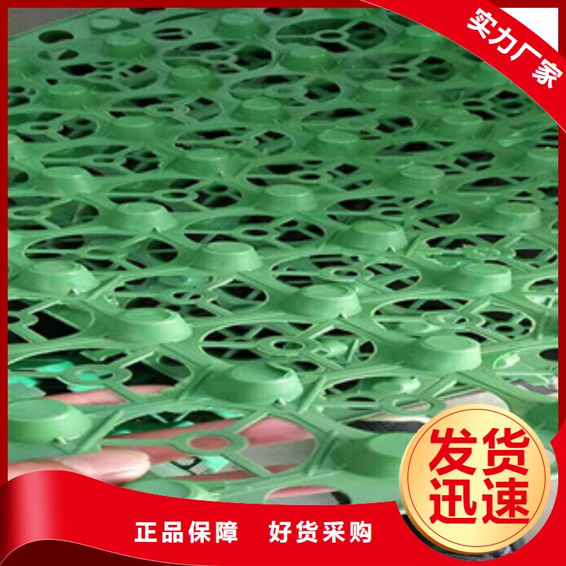 蓄排水板,膨润土防水毯厂家品种全