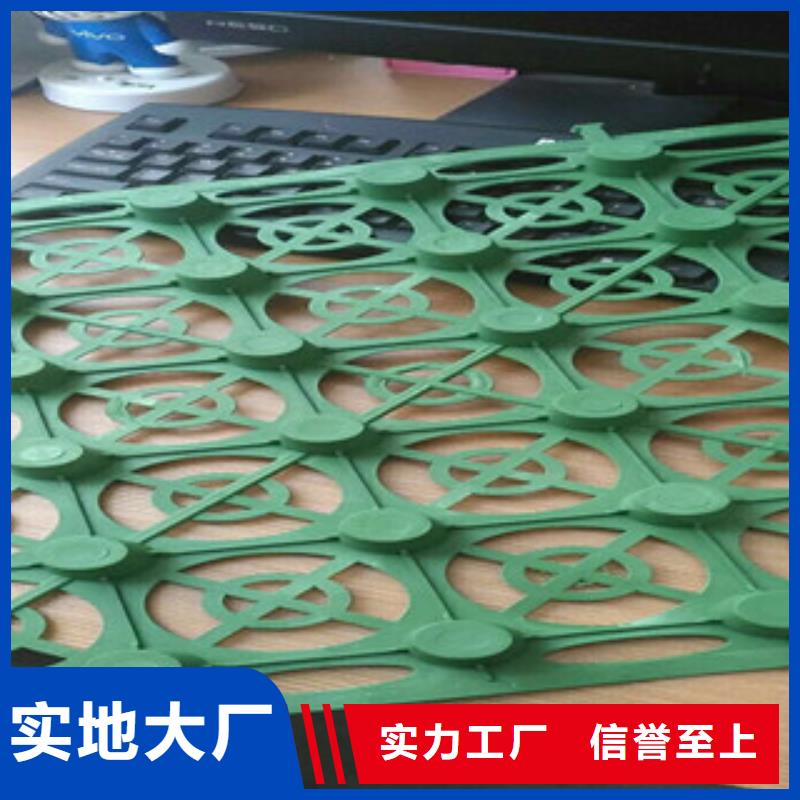 蓄排水板-植草格厂家今日新品