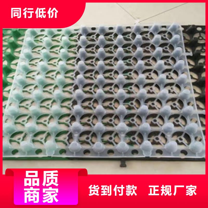 蓄排水板无纺布厂家当日价格