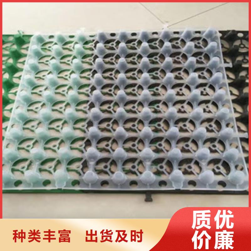蓄排水板土工膜厂家供应商