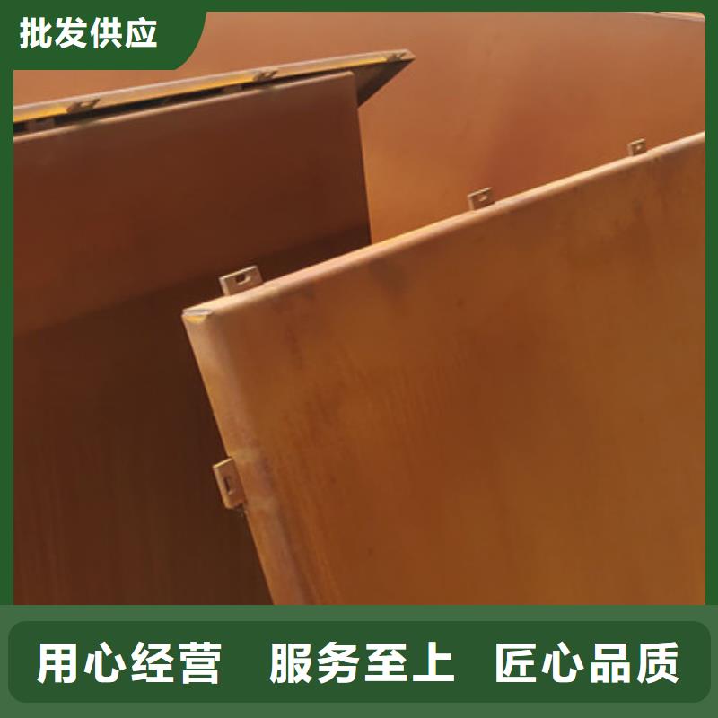 耐候板弹簧钢片实力雄厚品质保障