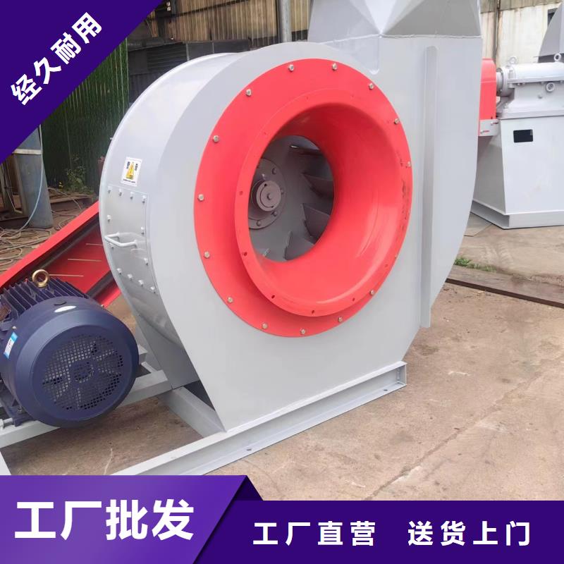 LFSR50临沂鼓风机工厂批发2025已更新(今日/观察)链条风机