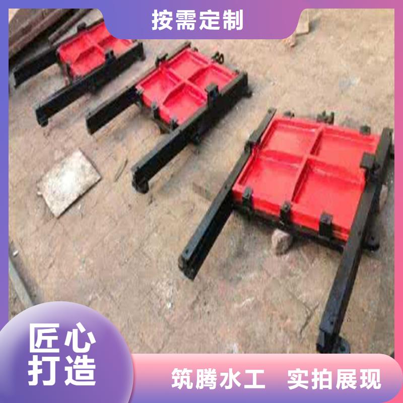 平面铸铁闸门诚信为本