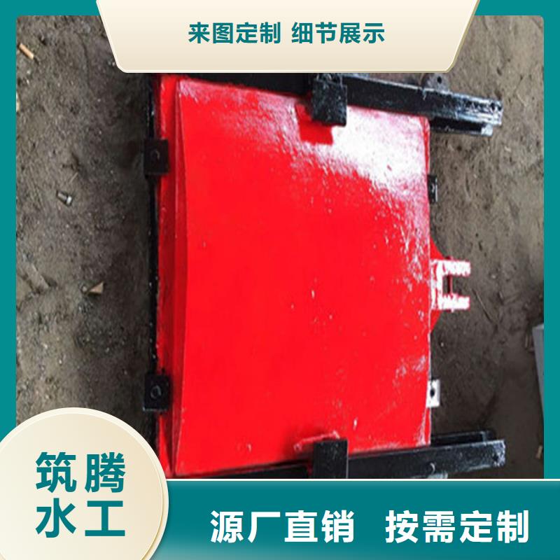 平面铸铁闸门诚信为本