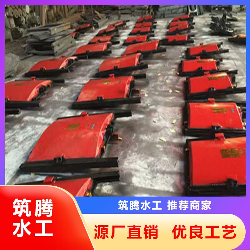 平面铸铁闸门诚信为本