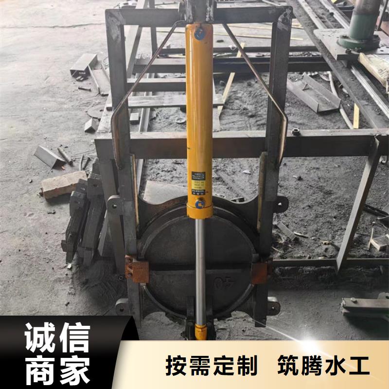 平面铸铁闸门诚信为本