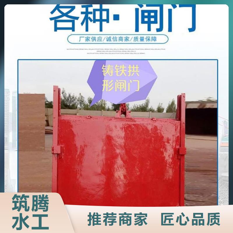 平面铸铁闸门诚信为本