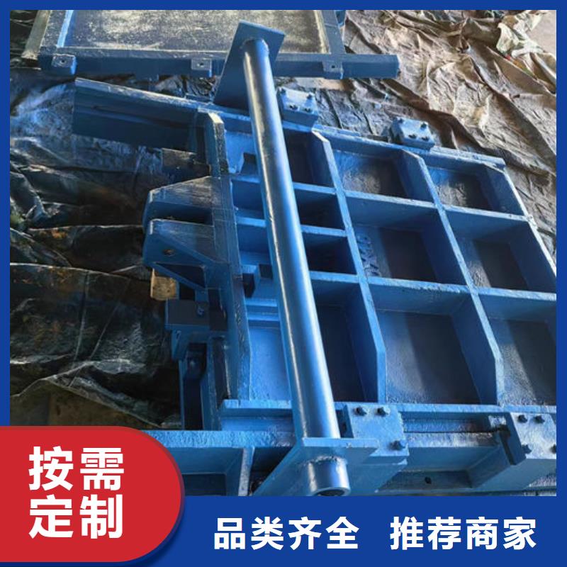 平面铸铁闸门诚信为本