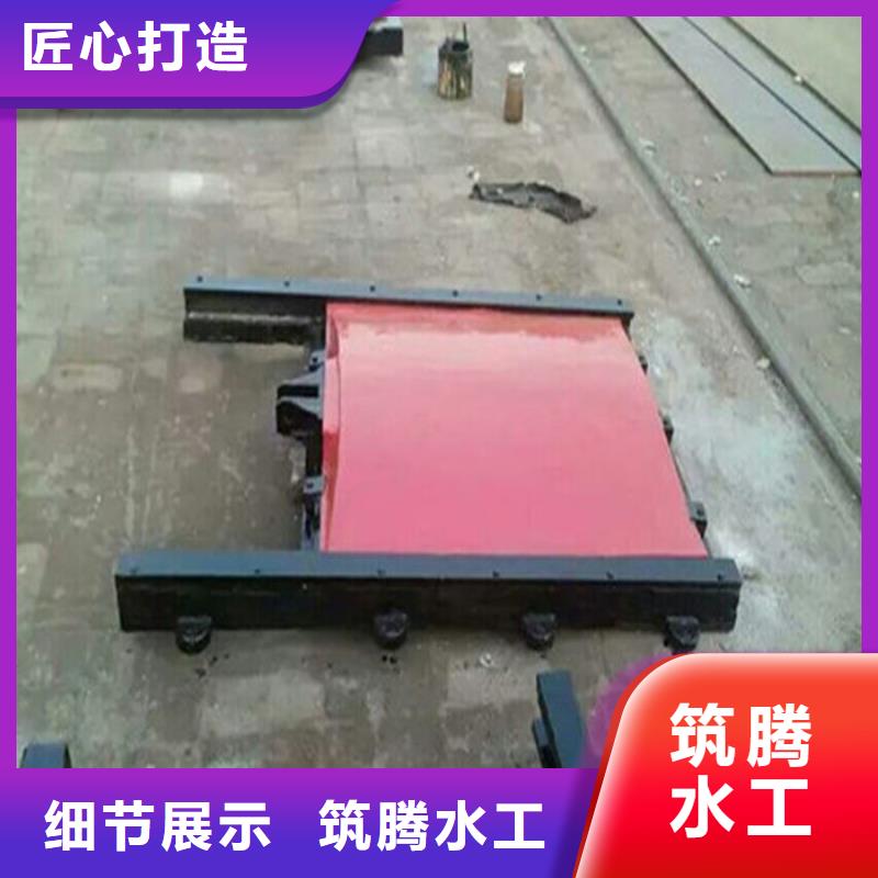 明杆式铸铁闸门用心经营